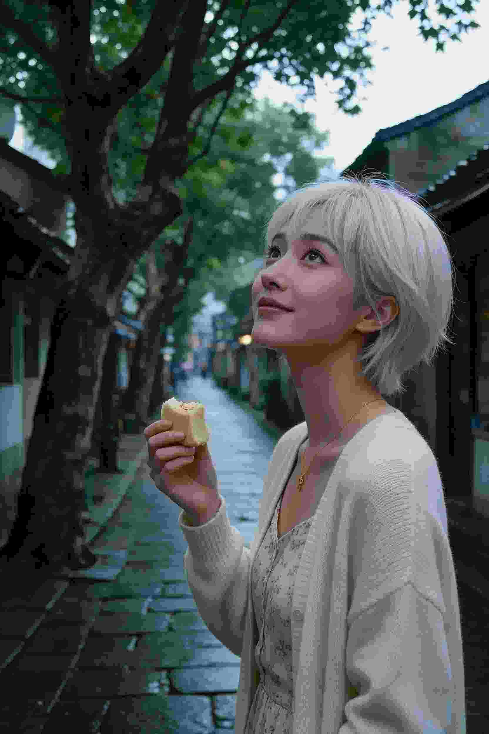 朝颜